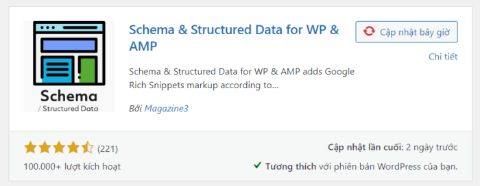 Plugin Schema & Structured Data for WP & AMP Nên Dùng | Riczmoz Moni